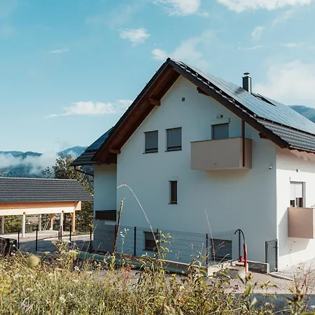 Apartmaji Laznik Apartman Ljubno