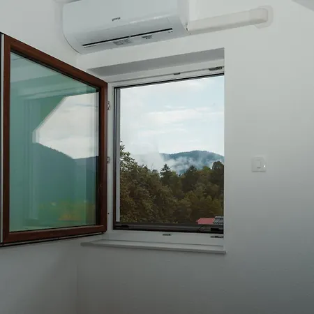 Apartmaji Laznik *