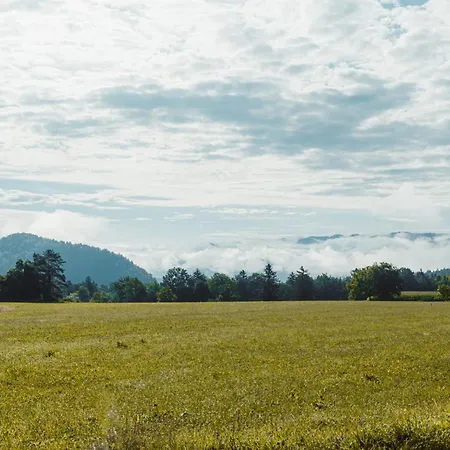 Apartmaji Laznik Apartment Ljubno