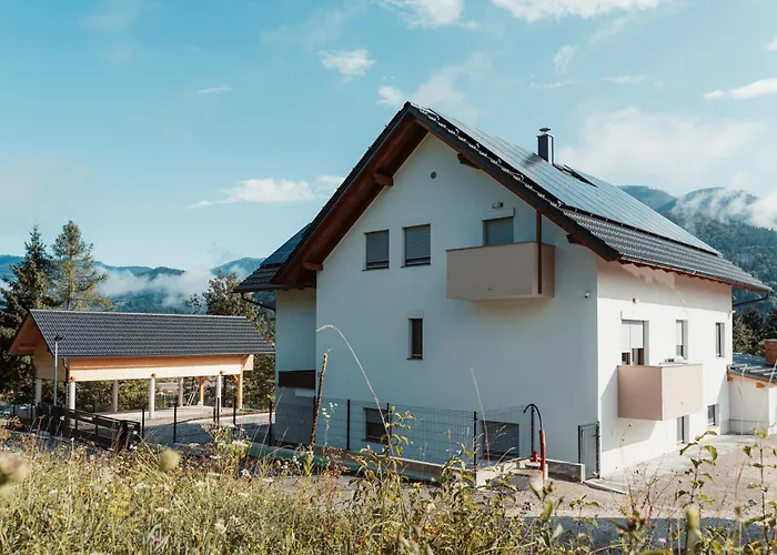 Apartmaji Laznik Apartman Ljubno