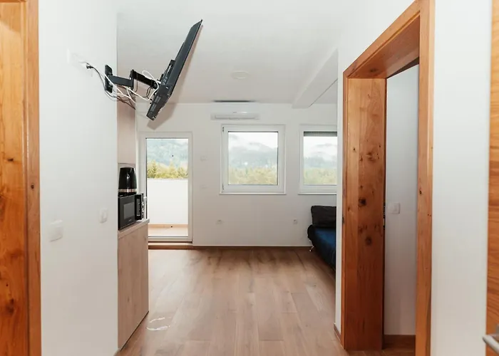 Apartmaji Laznik Ljubno