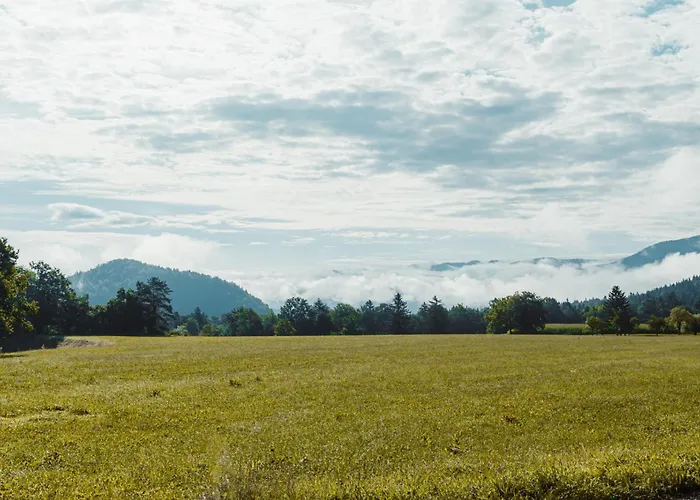 Apartmaji Laznik Apartman Ljubno